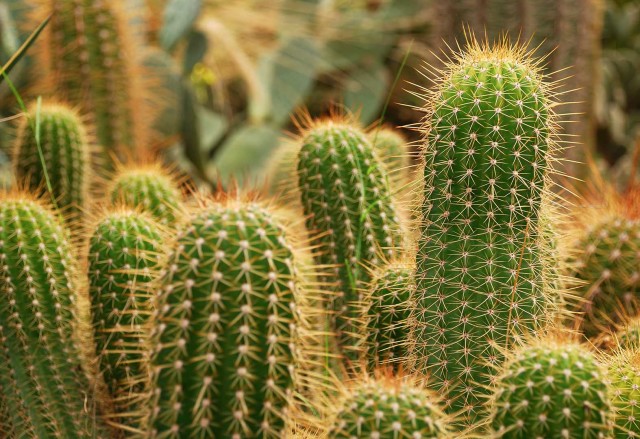 Get Started with Luxe Outdoor Environments
