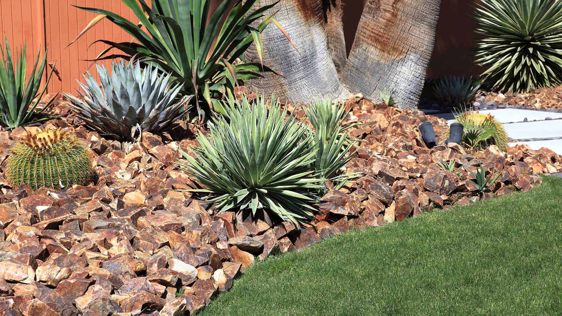 Phoenix Irrigation Systems