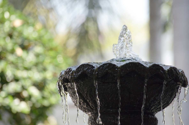 Water Features